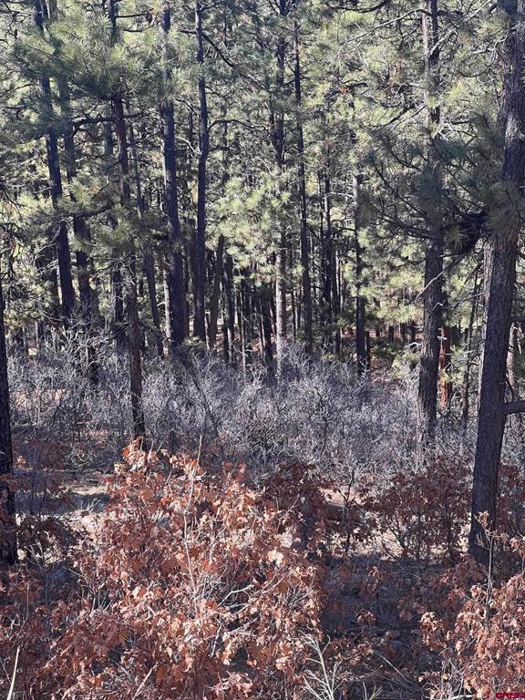238 Deer Ridge Drive Property Photo 11