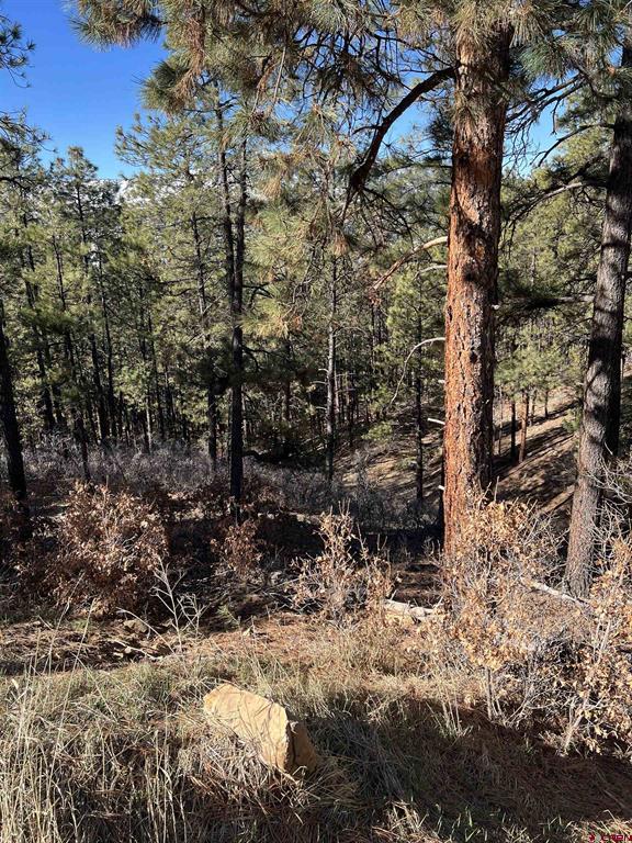 238 Deer Ridge Drive Property Photo 12