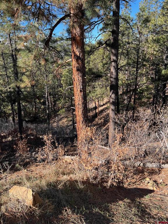238 Deer Ridge Drive Property Photo 13
