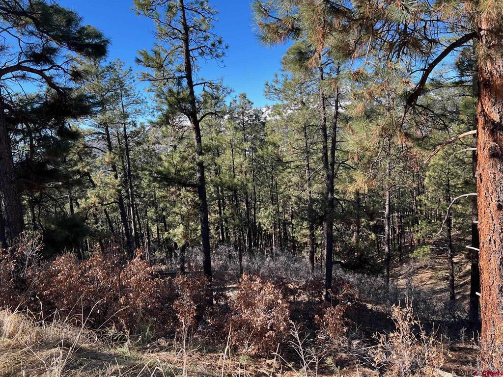 238 Deer Ridge Drive Property Photo 14