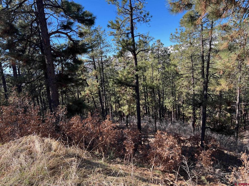 238 Deer Ridge Drive Property Photo 15