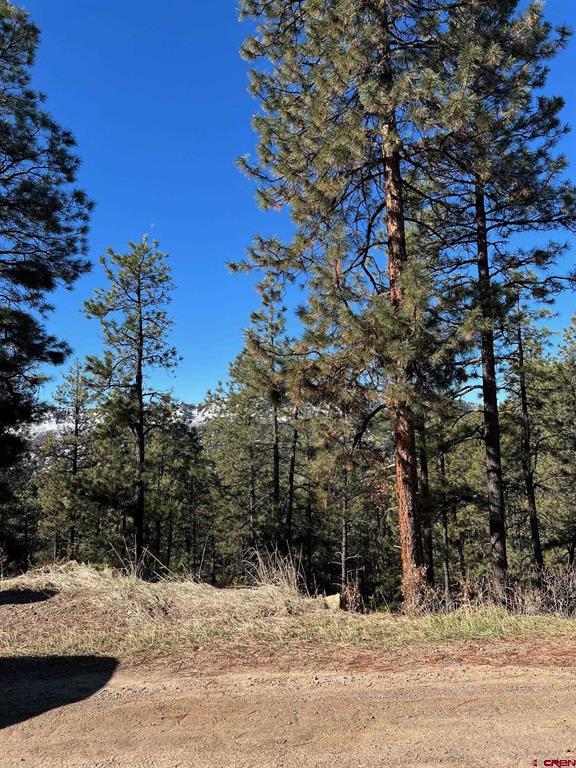 238 Deer Ridge Drive Property Photo 17