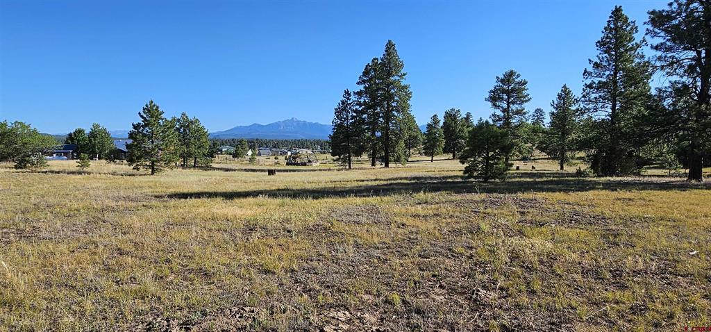 1570 Cool Pines Property Photo 1