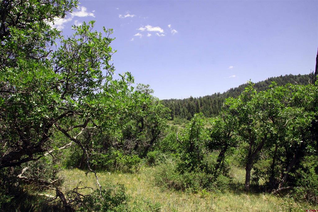 448 Clint Circle Property Photo
