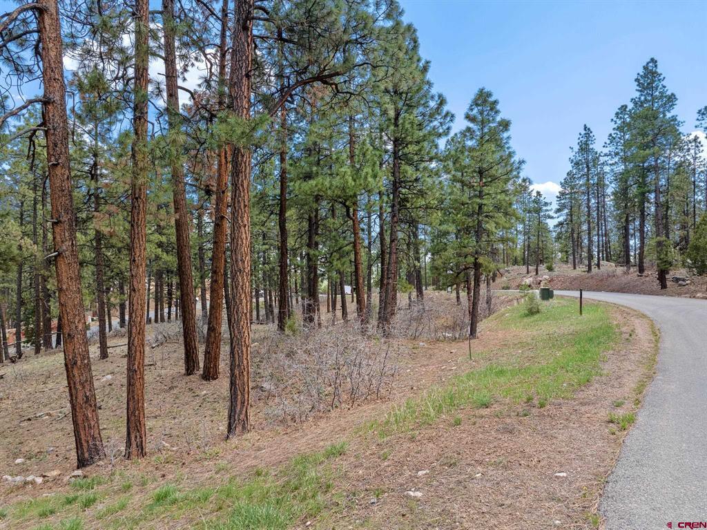 79 Hideout Trail Property Photo 21