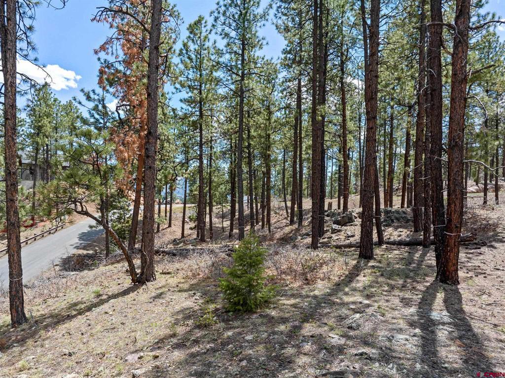 79 Hideout Trail Property Photo 23