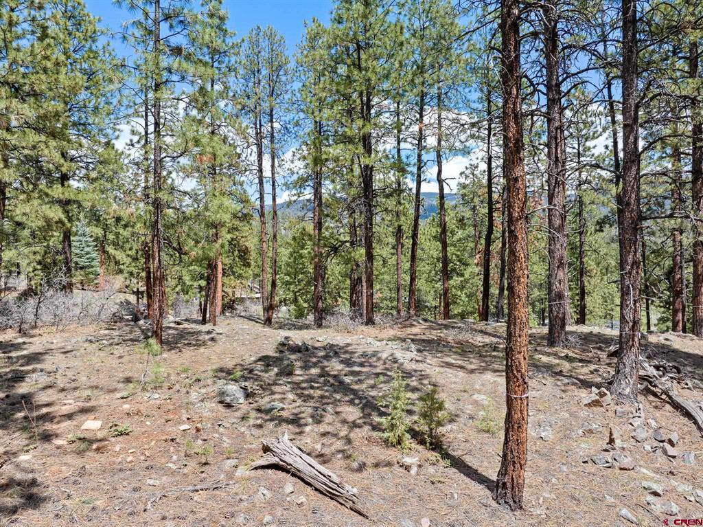 79 Hideout Trail Property Photo 24