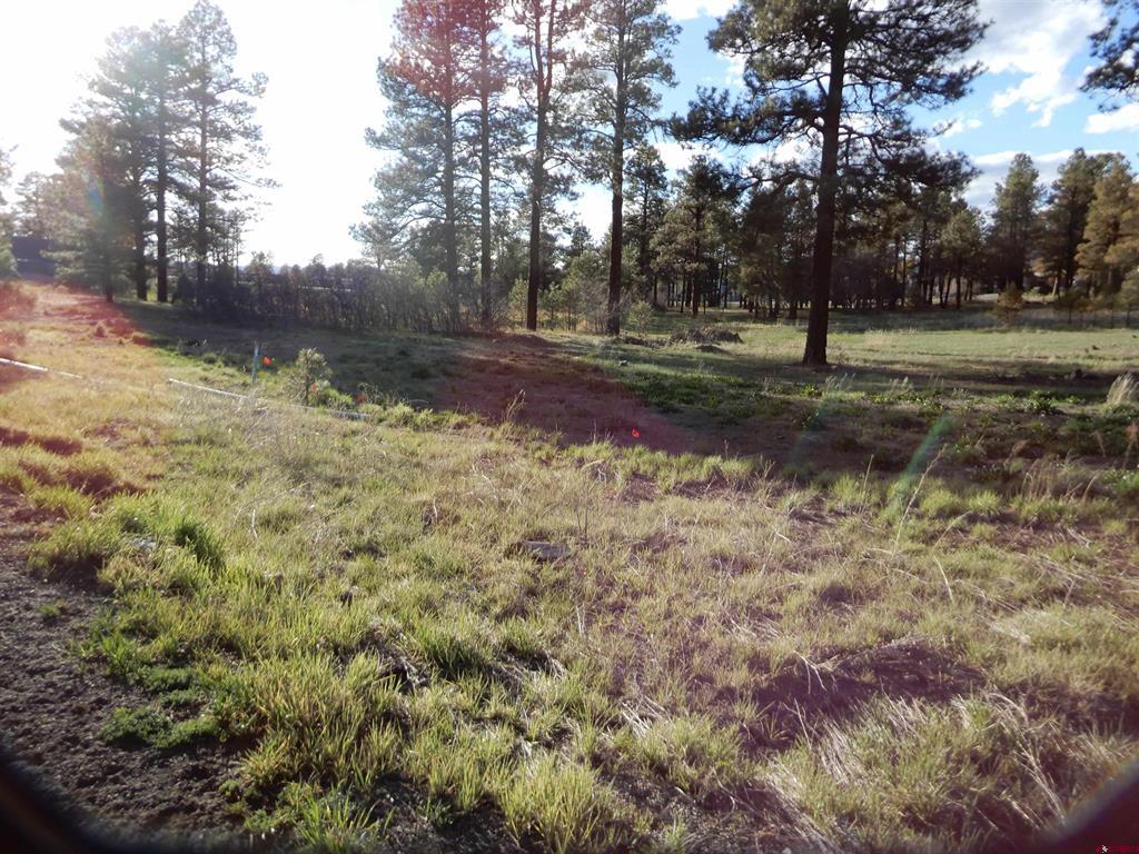 322 Harman Park Drive Property Photo 2