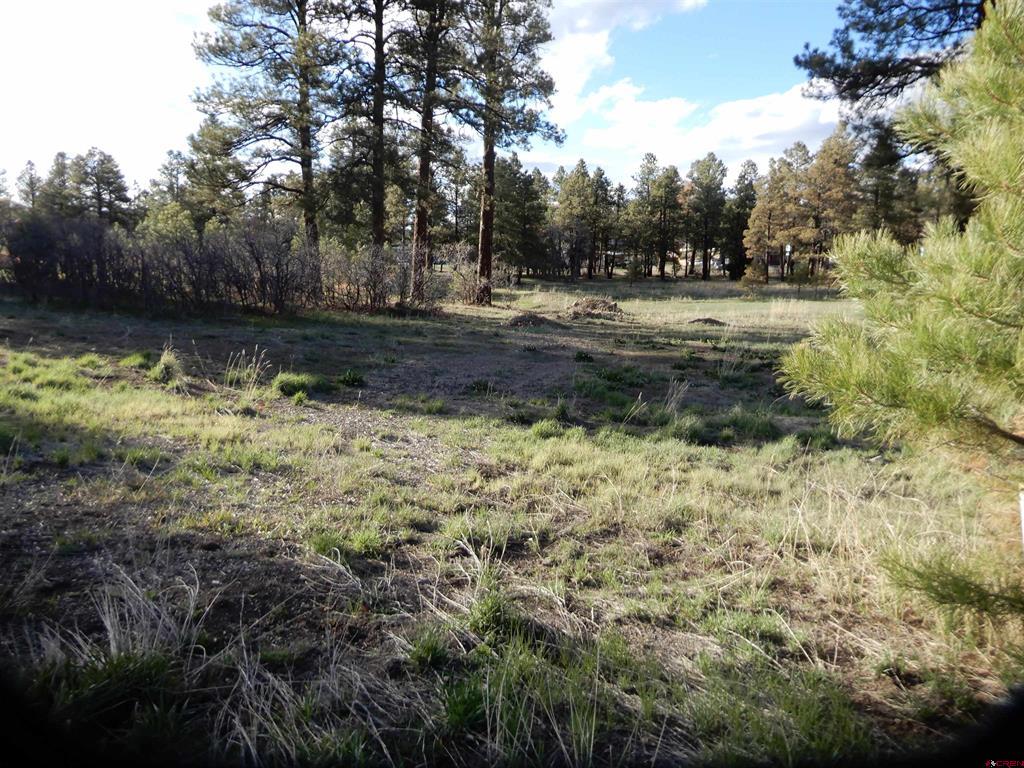 322 Harman Park Drive Property Photo 4