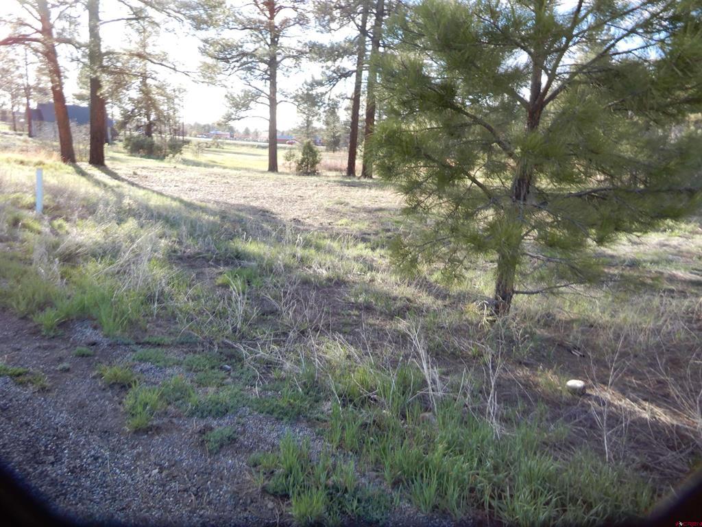 322 Harman Park Drive Property Photo 5