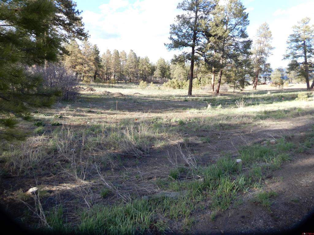 322 Harman Park Drive Property Photo 6