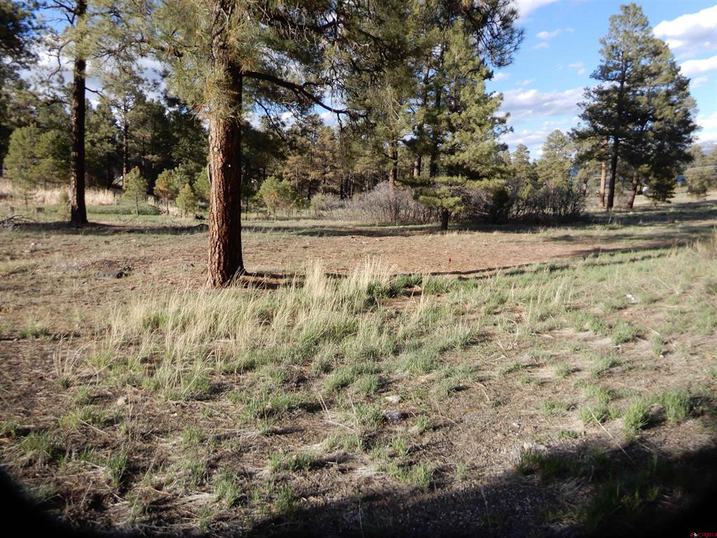 322 Harman Park Drive Property Photo 8