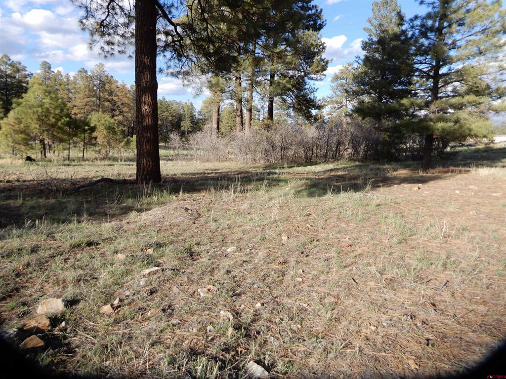 322 Harman Park Drive Property Photo 10