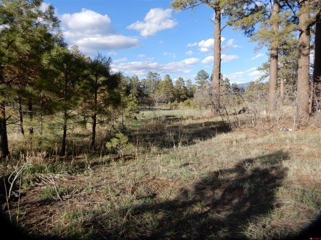 322 Harman Park Drive Property Photo 12