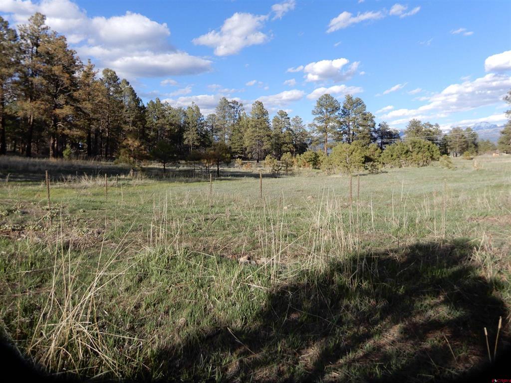 322 Harman Park Drive Property Photo 13