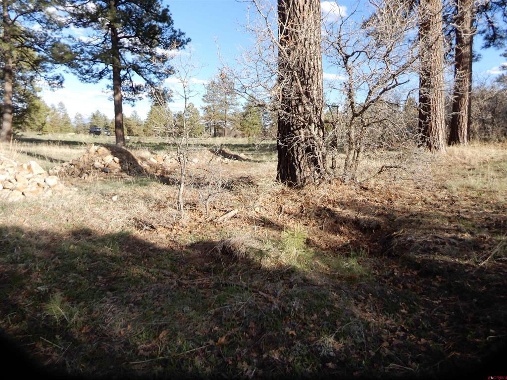 322 Harman Park Drive Property Photo 14
