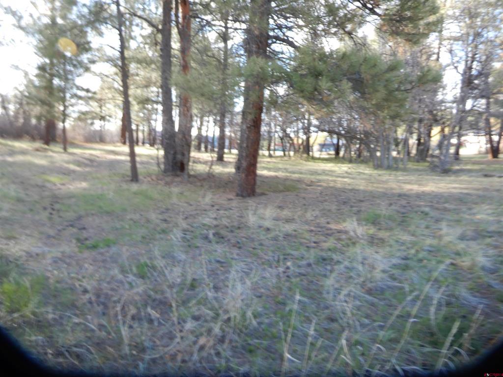 322 Harman Park Drive Property Photo 16