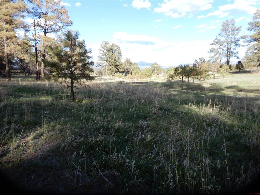 322 Harman Park Drive Property Photo 17