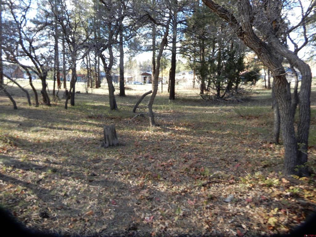 322 Harman Park Drive Property Photo 18