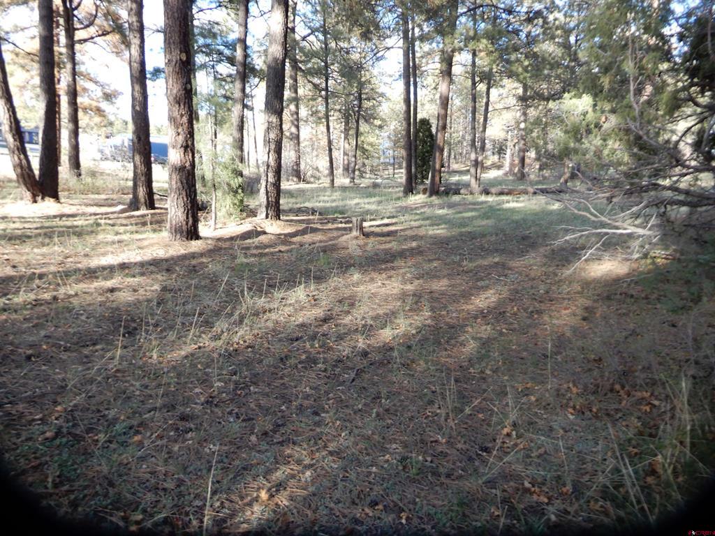 322 Harman Park Drive Property Photo 19