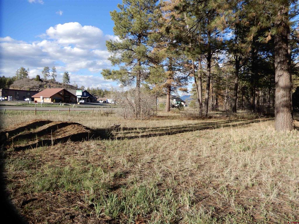322 Harman Park Drive Property Photo 21