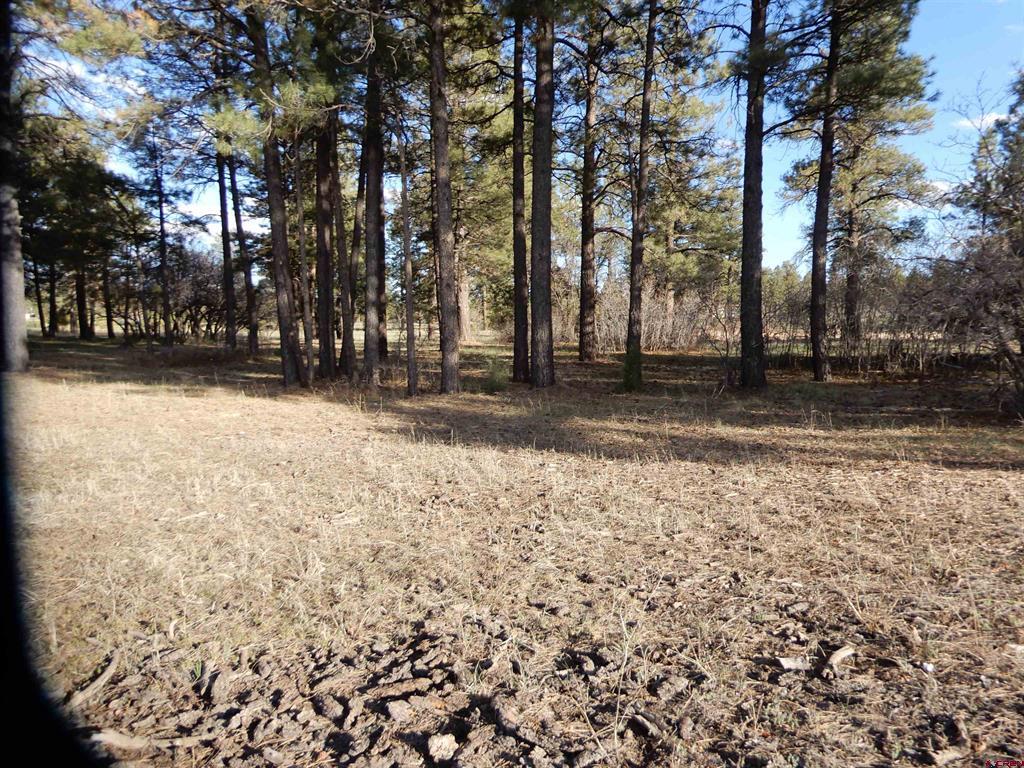 322 Harman Park Drive Property Photo 22