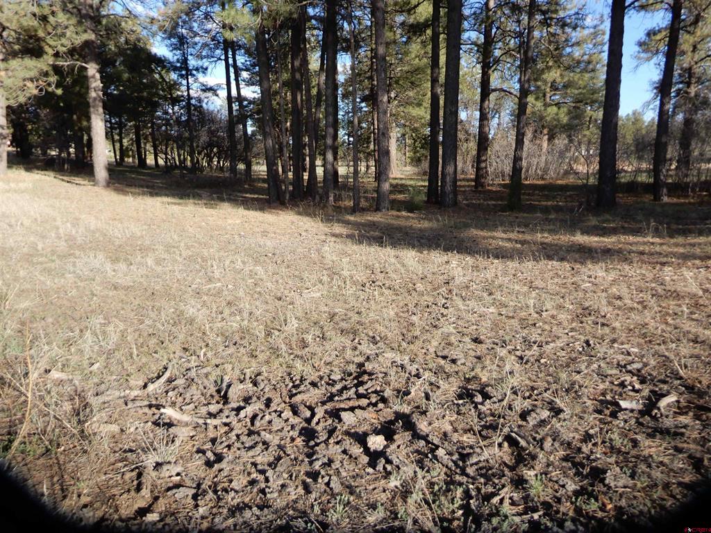 322 Harman Park Drive Property Photo 23