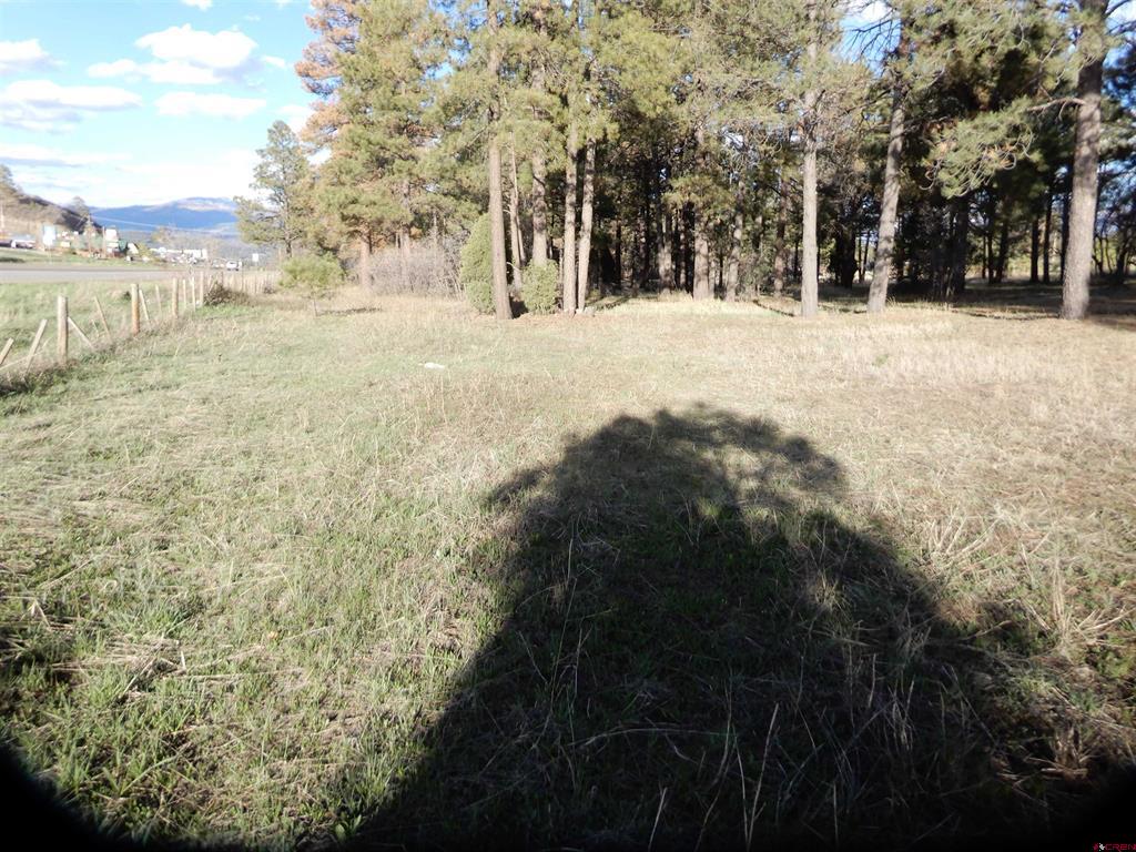 322 Harman Park Drive Property Photo 24
