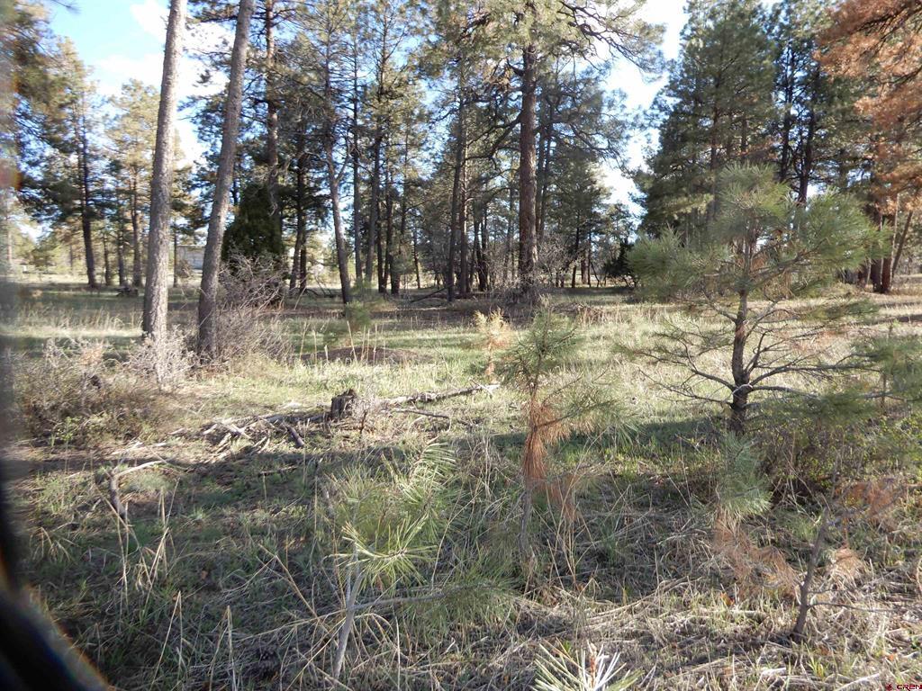 322 Harman Park Drive Property Photo 27