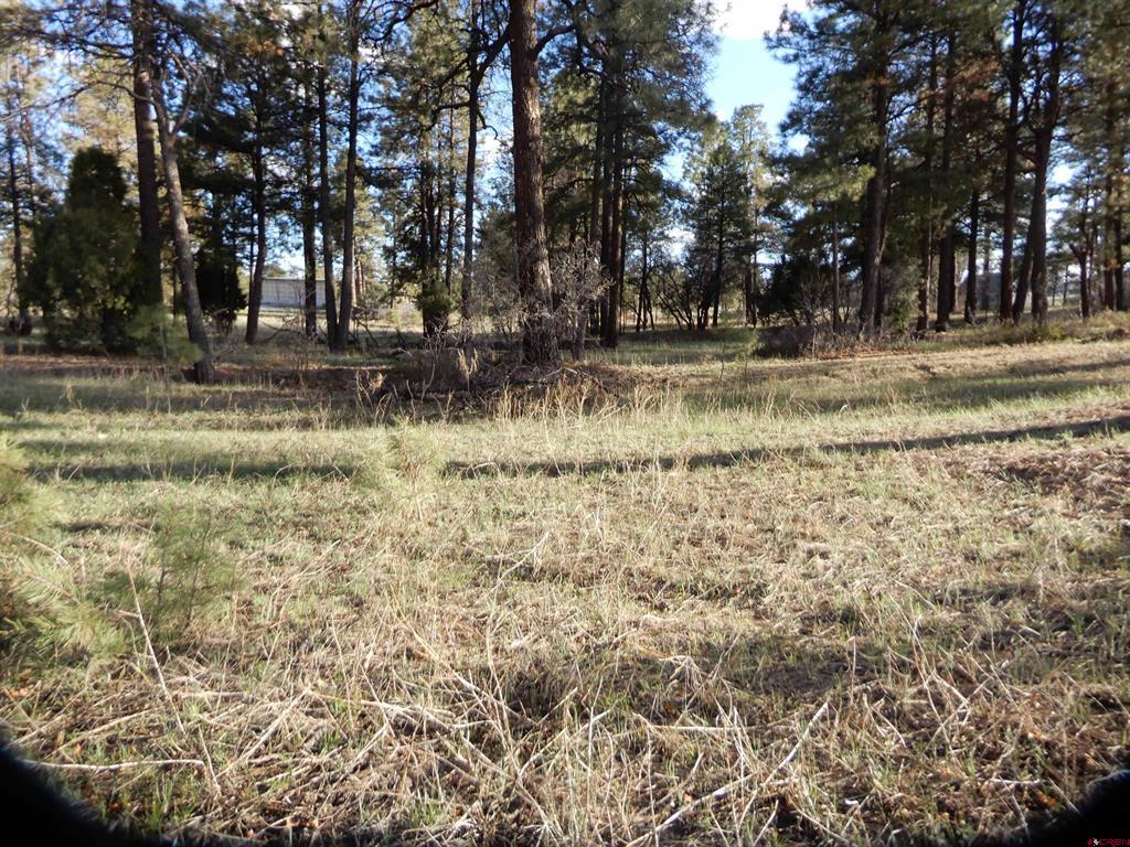 322 Harman Park Drive Property Photo 28