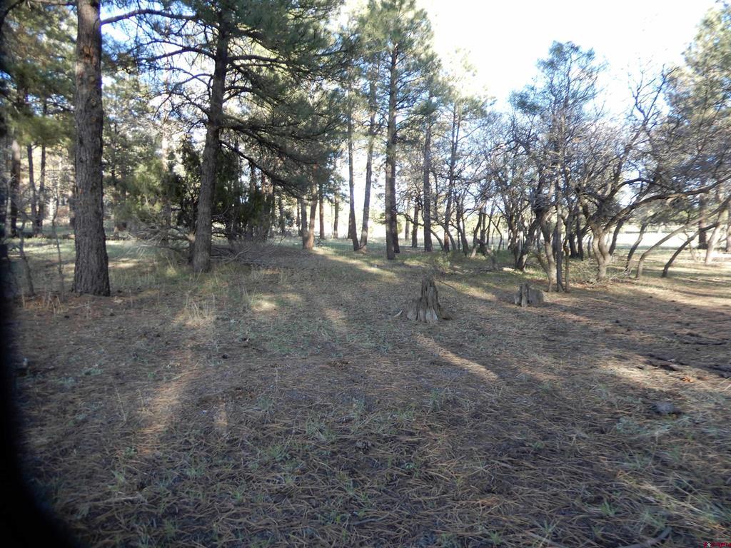 322 Harman Park Drive Property Photo 29