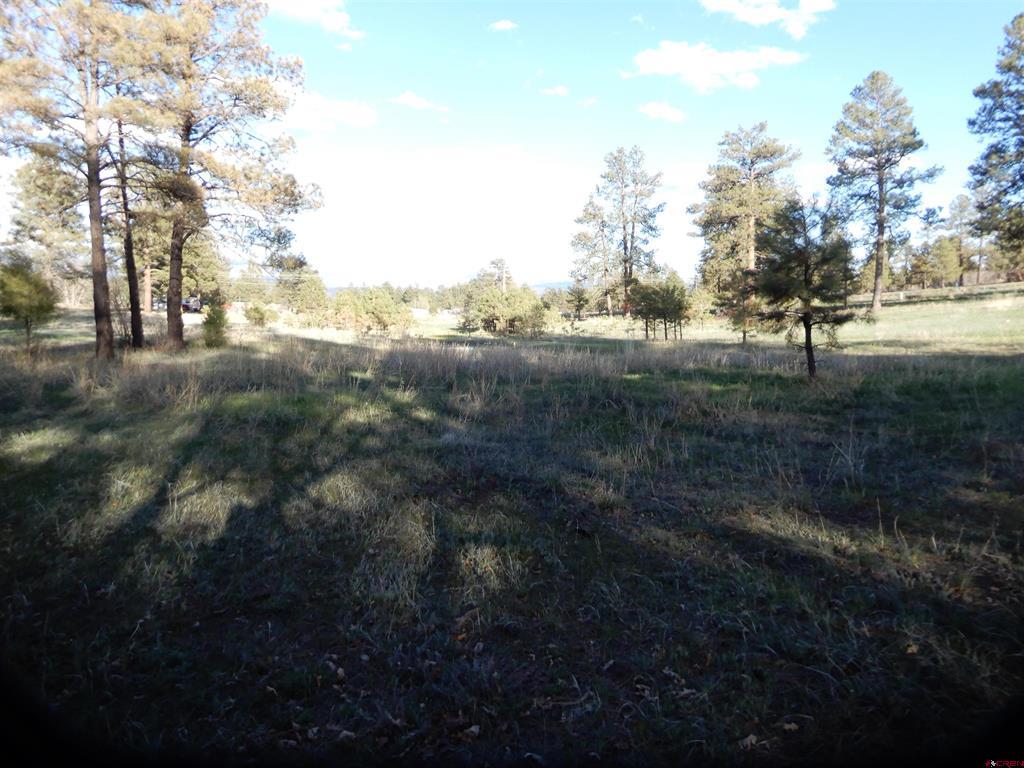 322 Harman Park Drive Property Photo 31