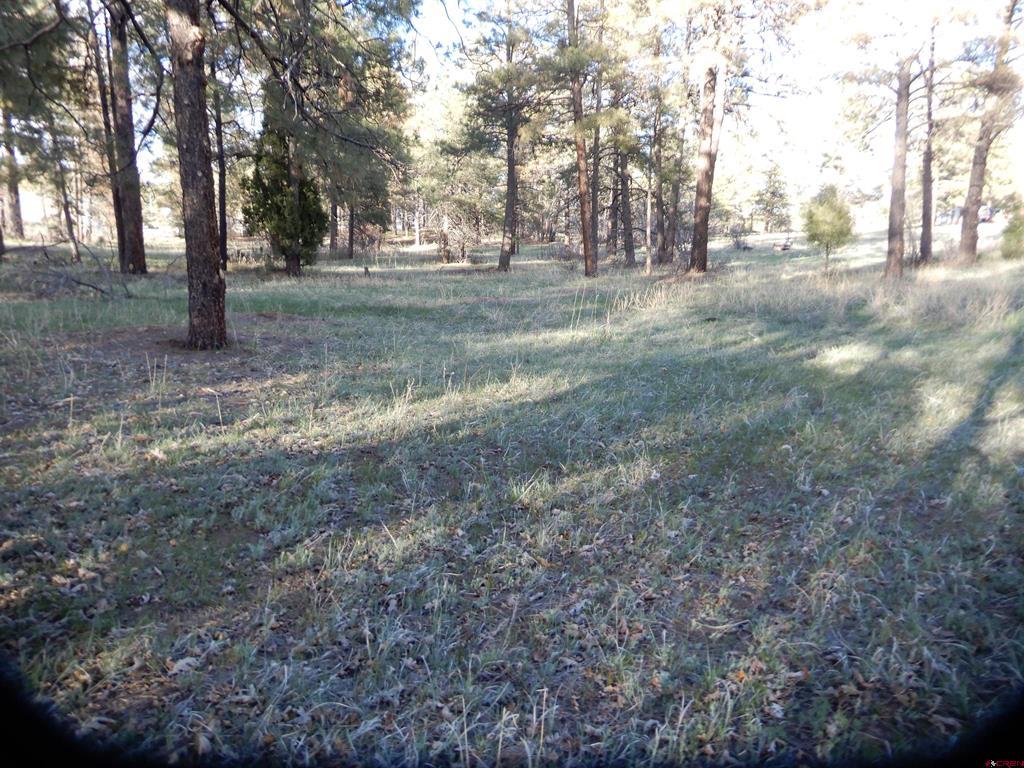322 Harman Park Drive Property Photo 32