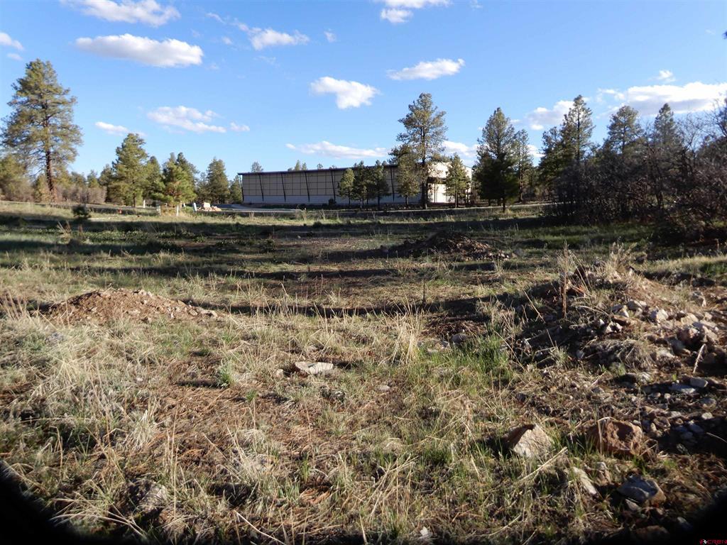 322 Harman Park Drive Property Photo 33