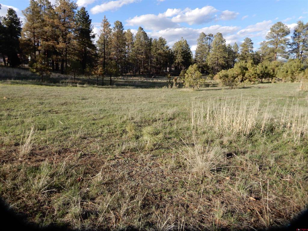 322 Harman Park Drive Property Photo 34