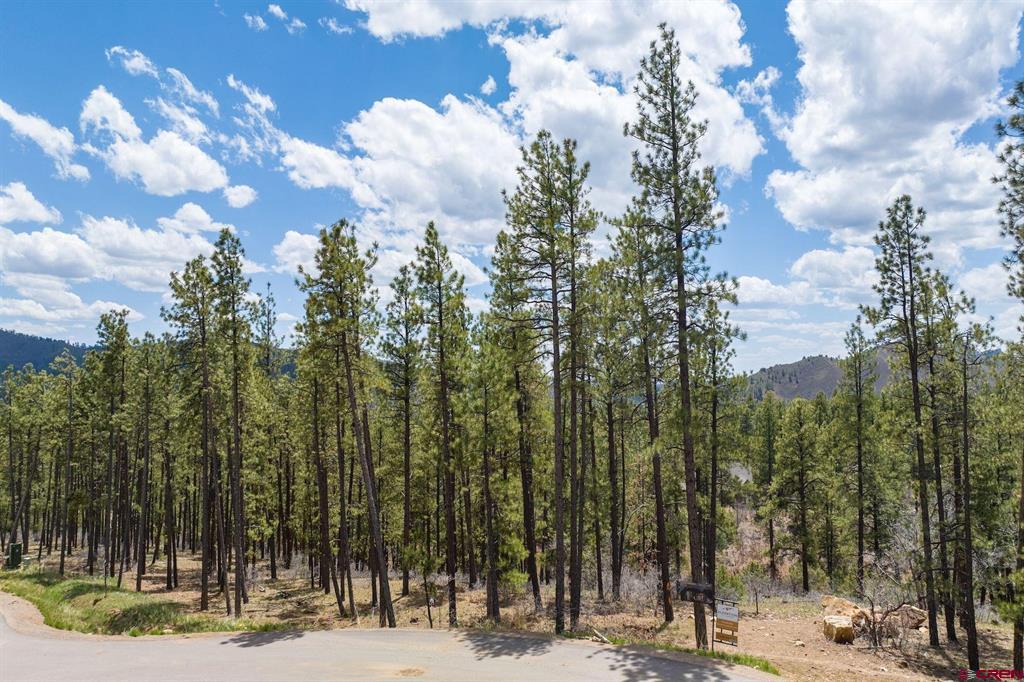 1091 Red Canyon Trail Property Photo