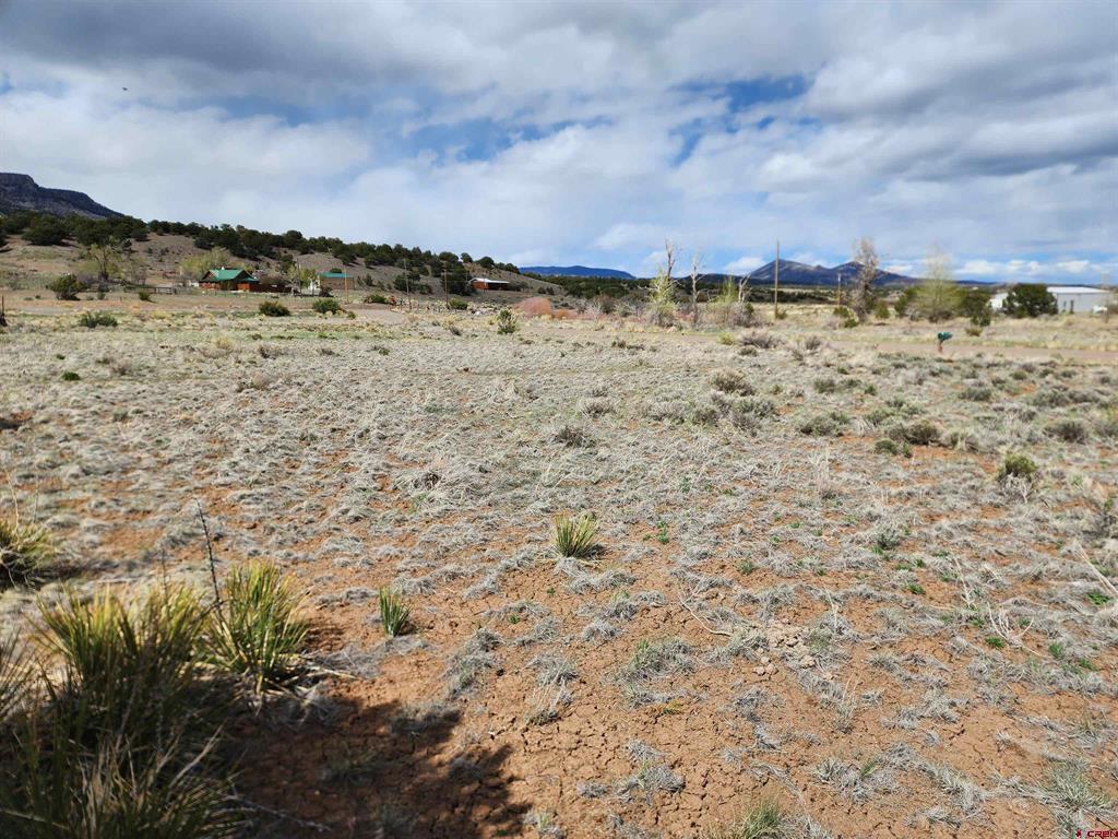1289 Mohee Road Property Photo 1
