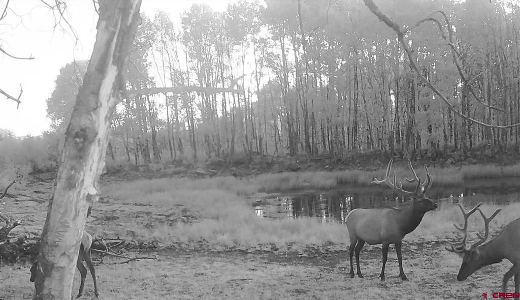 000 Highway 92 Property Photo 22