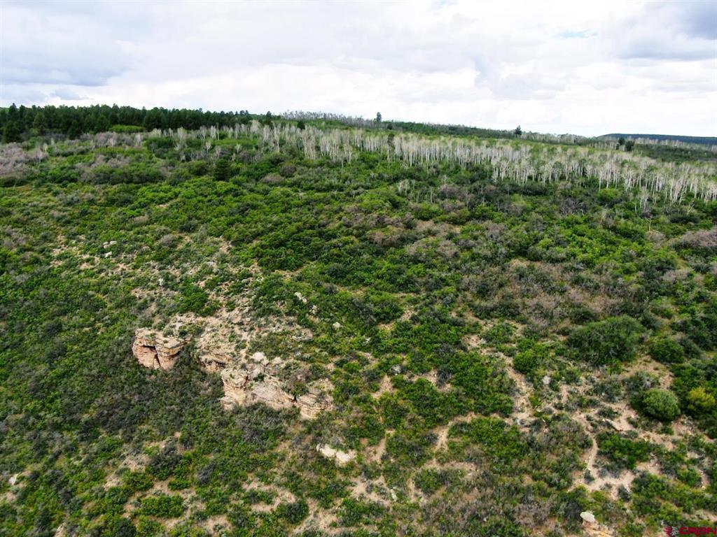 000 Highway 92 Property Photo 28