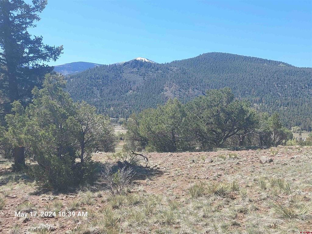 311 Vista De Verde Circle Property Photo 2