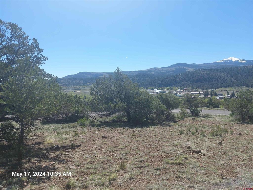 311 Vista De Verde Circle Property Photo 3