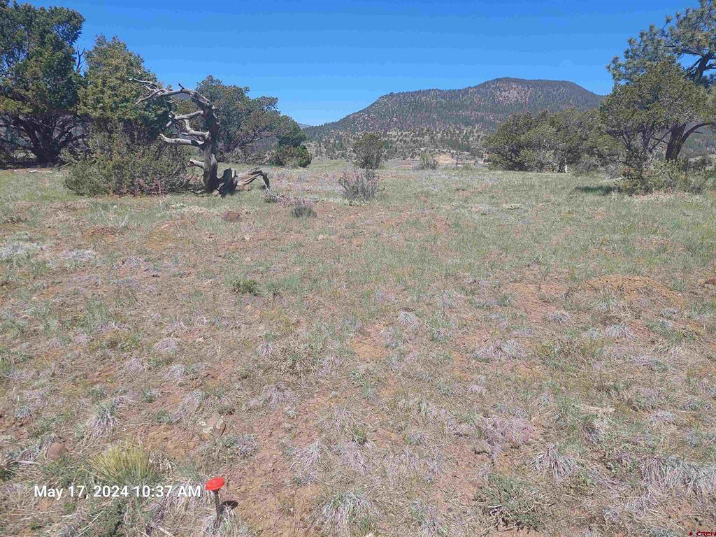 311 Vista De Verde Circle Property Photo 5