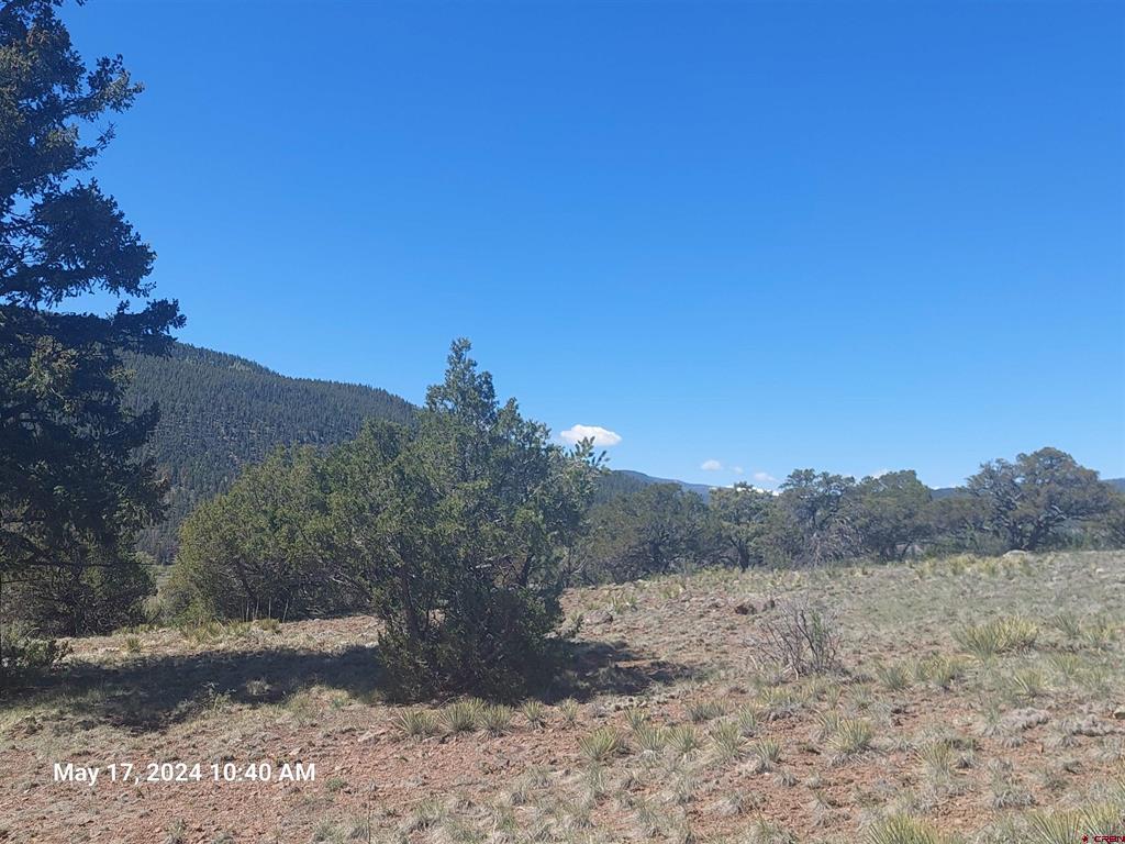 311 Vista De Verde Circle Property Photo 8