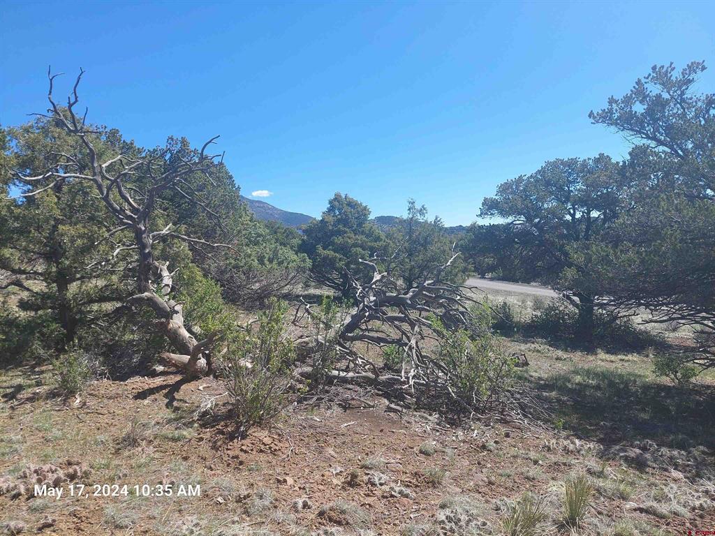 311 Vista De Verde Circle Property Photo 9