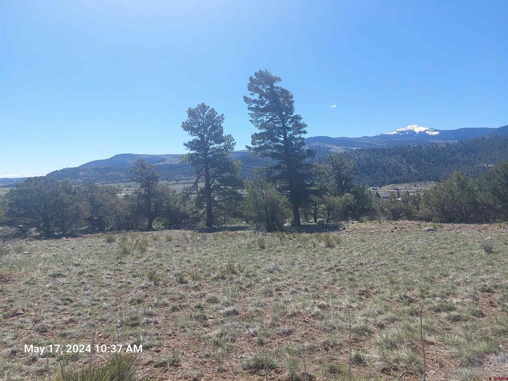 311 Vista De Verde Circle Property Photo 11