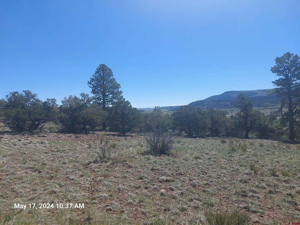 311 Vista De Verde Circle Property Photo 13