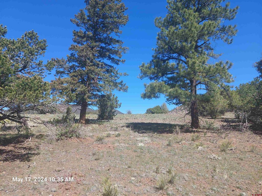 311 Vista De Verde Circle Property Photo 14