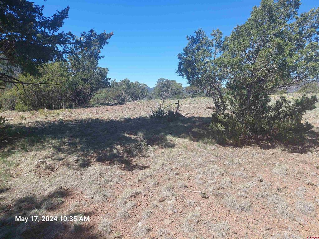 311 Vista De Verde Circle Property Photo 15