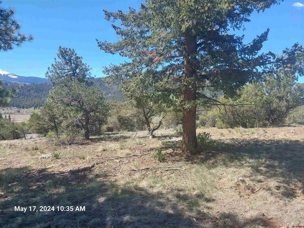 311 Vista De Verde Circle Property Photo 16