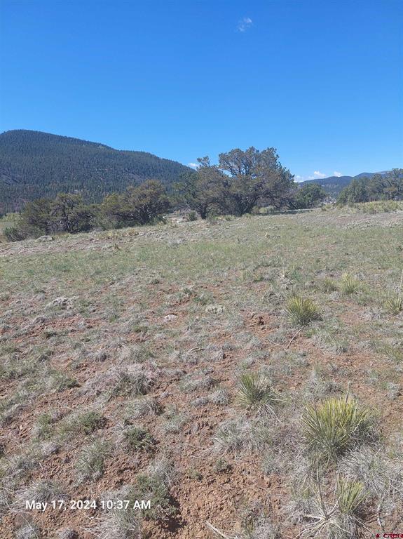 311 Vista De Verde Circle Property Photo 18